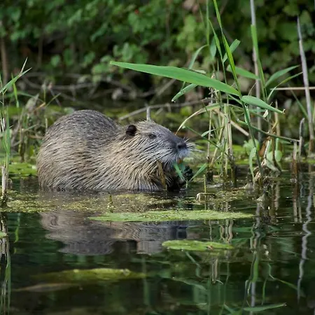 Mit Wintergarten Am Dom wakacyjny