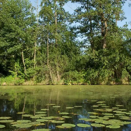 Mit Wintergarten Am *