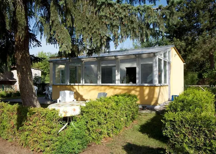 Mit Wintergarten Am Elbe-Parey