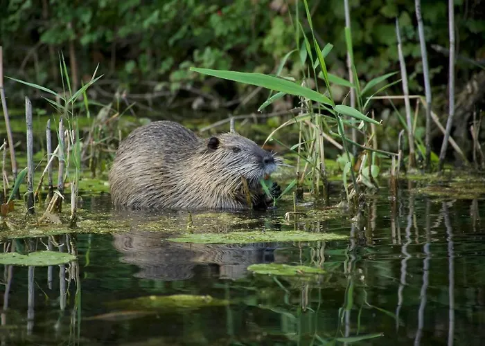 Mit Wintergarten Am Vakantiehuis