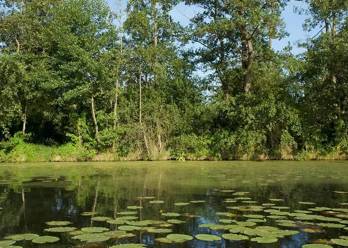 Mit Wintergarten Am *